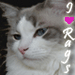 LadyJemima's Avatar