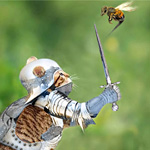 colleague's Avatar