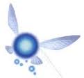 Fairy's Avatar
