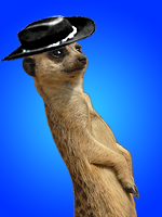 Dreamers's Avatar