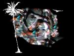 DJtomcat's Avatar