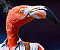 HomePhotoshoppingNetwork's Avatar