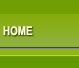 Home Text