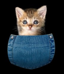 For reference.jpg For reference.jpg