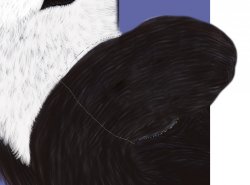 Stretch.jpg Stretch.jpg