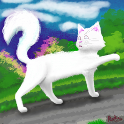 White Cat5.png