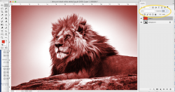 Screen Shot 2020-12-03 at 8.16.11 AM.png