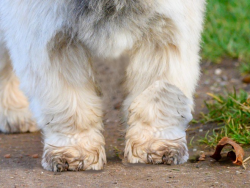 1607261862478.png 1607261862478.png