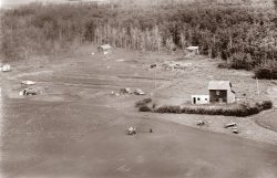 landscape edited 2 duotone.jpg