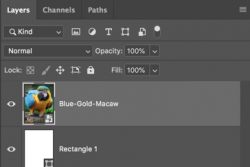 Screen Shot 2021-02-22 at 1.03.16 AM.png Screen Shot 2021-02-22 at 1.03.16 AM.png
