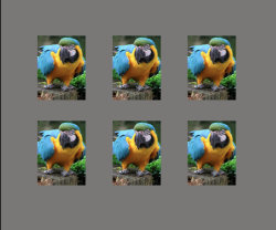 Screen Shot 2021-02-22 at 1.06.19 AM.png Screen Shot 2021-02-22 at 1.06.19 AM.png