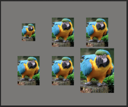 Screen Shot 2021-02-22 at 1.08.56 AM.png Screen Shot 2021-02-22 at 1.08.56 AM.png