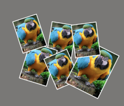 Screen Shot 2021-02-22 at 1.27.56 AM.png Screen Shot 2021-02-22 at 1.27.56 AM.png