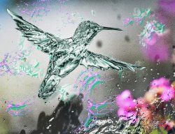 hunningbird edited instagrram.jpg hunningbird edited instagrram.jpg