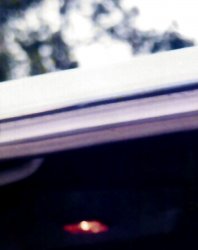 blotches.jpg blotches.jpg