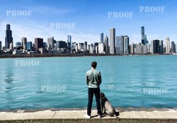 city skyline edited.jpg city skyline edited.jpg