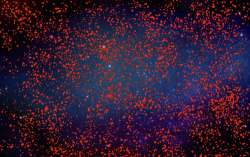 1616539956125.png 1616539956125.png