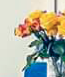 Screen Shot 2021-03-24 at 5.09.07 PM.png