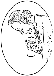 biden_cricut.png biden_cricut.png