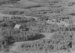 Map 219-49-S1-0029 Resized.jpg