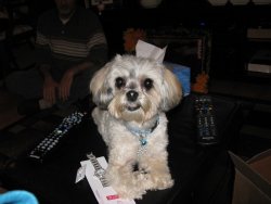 IMG_0115a.jpg IMG_0115a.jpg