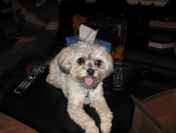 IMG_0114a.jpg IMG_0114a.jpg