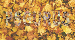 Screen Shot 2021-05-18 at 12.53.41 PM.png Screen Shot 2021-05-18 at 12.53.41 PM.png