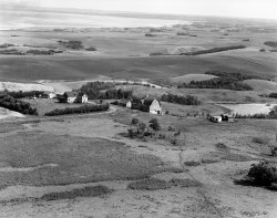 Bad Stripe_darker-c.jpg