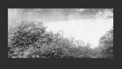 1621468647132.png 1621468647132.png