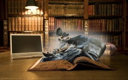 moby dick comp.png moby dick comp.png