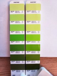pantone swatches 2.jpg pantone swatches 2.jpg