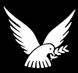 somerford-park-logo (1)-4.png