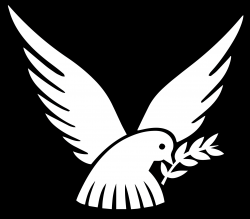 Screen Shot 2021-06-07 at 12.10.46 PM.png