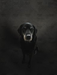 7B3F593F-FC29-4E55-B2B9-AF4EC7D8F478 draft.jpg