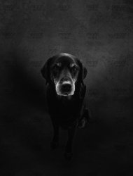 7B3F593F-FC29-4E55-B2B9-AF4EC7D8F478 draft 2.jpg