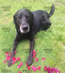 969EA790-9572-4CAB-A70C-B3C857E19353 draft.jpg