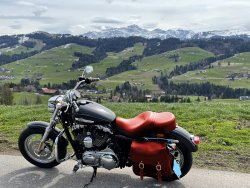 motorcycle red seat and bag V2.jpg