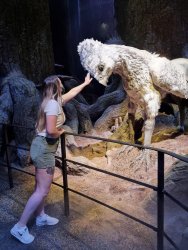 hippogriff visit.jpg