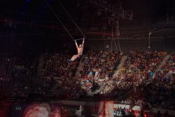 Gymnast on trapese_DSC09711_3.jpg