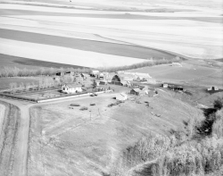 Remove White Line (Edited).png