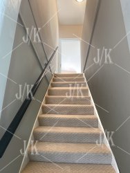 carpeted stairs.jpg