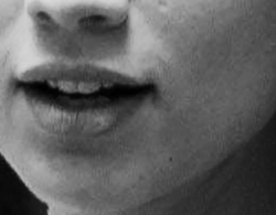 Screen Shot 2021-08-13 at 2.38.08 PM.png