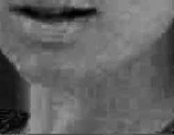 Screen Shot 2021-08-13 at 2.52.44 PM.png