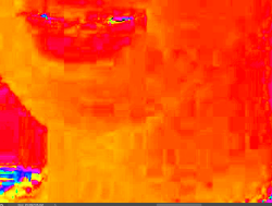 Screen Shot 2021-08-13 at 2.56.37 PM.png