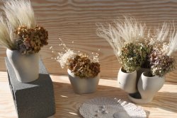 IMG_2160.JPG IMG_2160.JPG