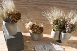 platers edited REV.jpg platers edited REV.jpg