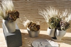 IMG_2160.JPG IMG_2160.JPG