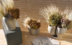 IMG_2160.jpg IMG_2160.jpg