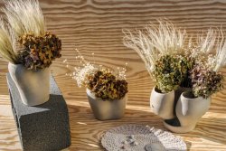 Shadow gap_4.jpg Shadow gap_4.jpg