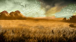 sharpen-scene-adj.jpg sharpen-scene-adj.jpg